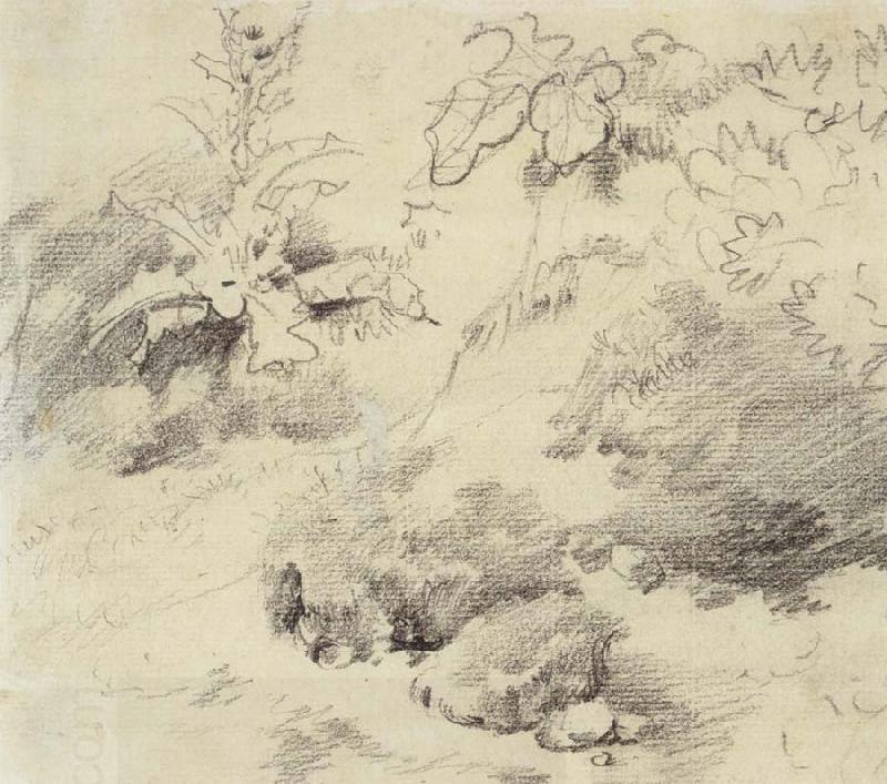 Thomas Gainsborough Study for a Foreground,a Bank with Weeds and Thistles oil painting picture